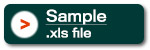 financial statements template